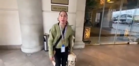 Perro guia