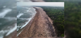 Muere una niña de 14 años al ser atacada por un león en Kenia Una niña de 14 años ha muerto al ser atacada por un león en Kenia, el ataque tuvo lugar en las inmediaciones del Parque Nacional de