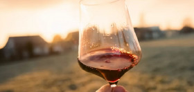 Vino