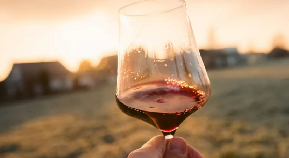 Vino