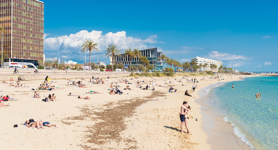Palya palma mallorca 01