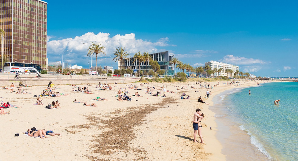 Palya palma mallorca 01