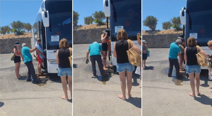 Bus arena pies