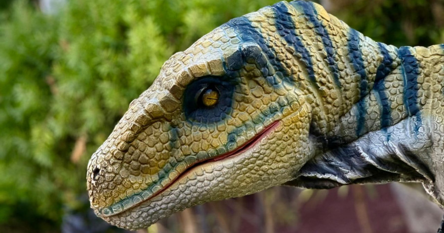 Dino